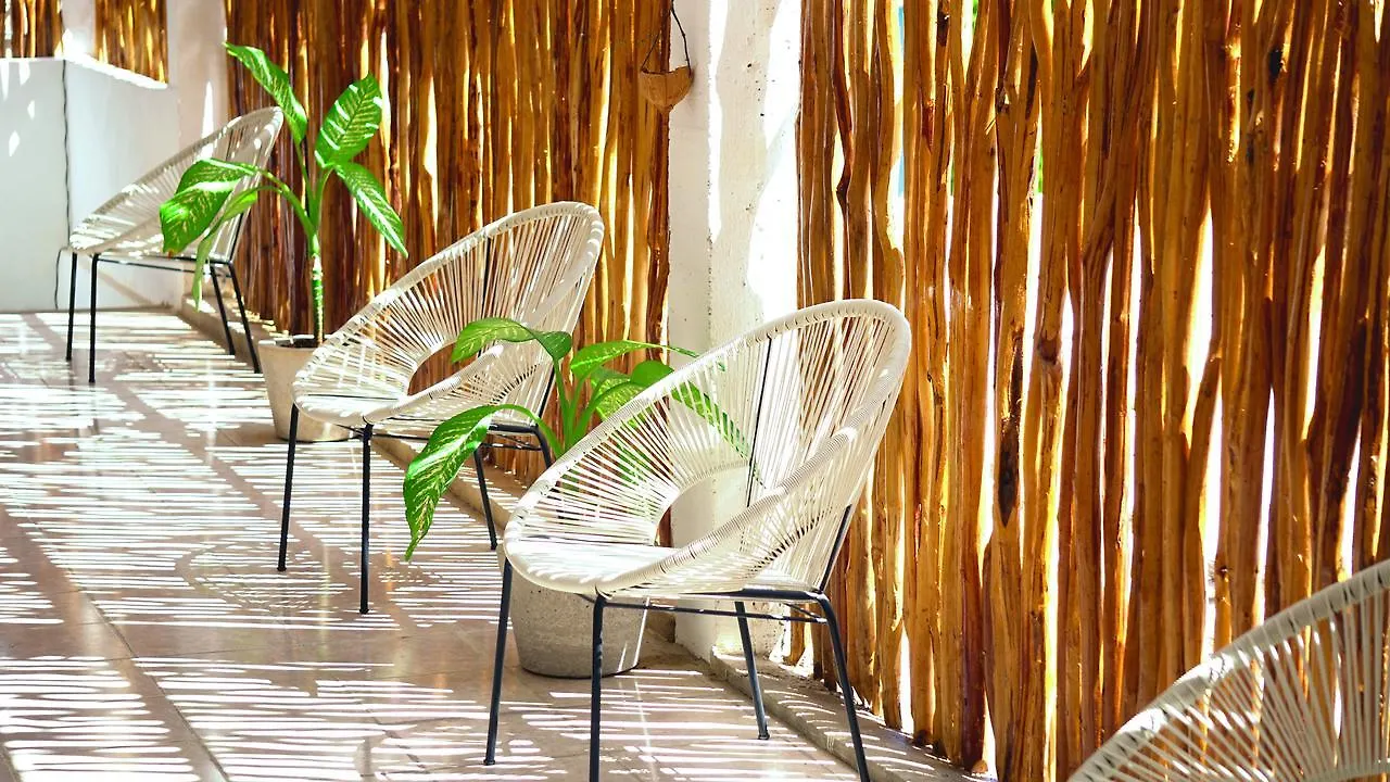 **  Coelum Hotel Tulum Mexico